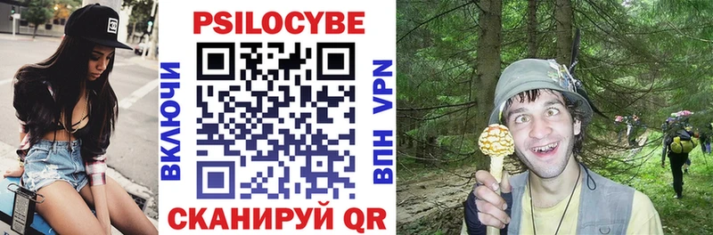 Псилоцибиновые грибы Psilocybine cubensis как найти наркотики Удомля